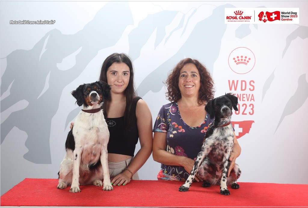 Du Vallon D'Iron - WORLD DOG SHOW GENEVA 2023