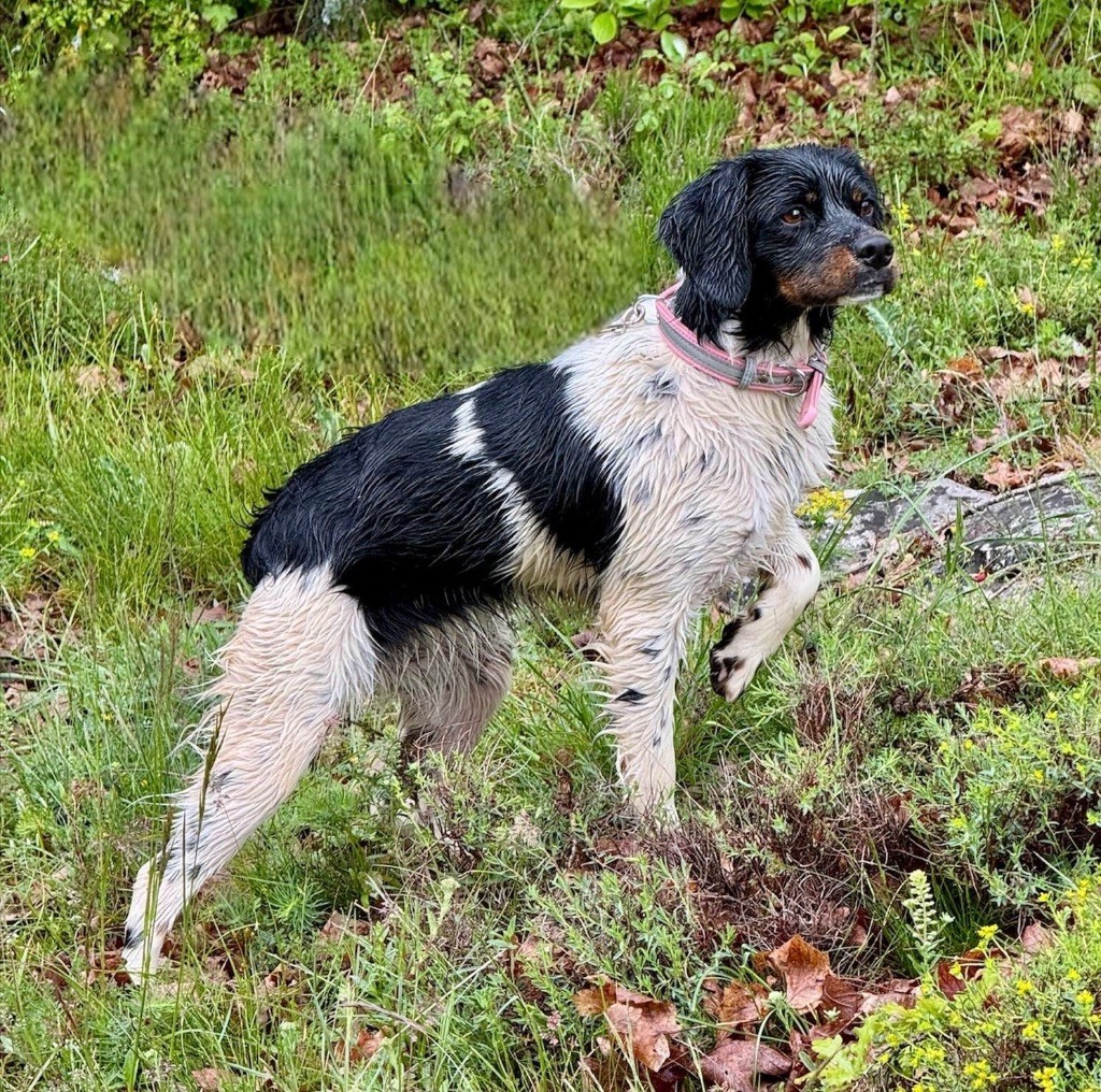 Vanille Du Vallon D'Iron
