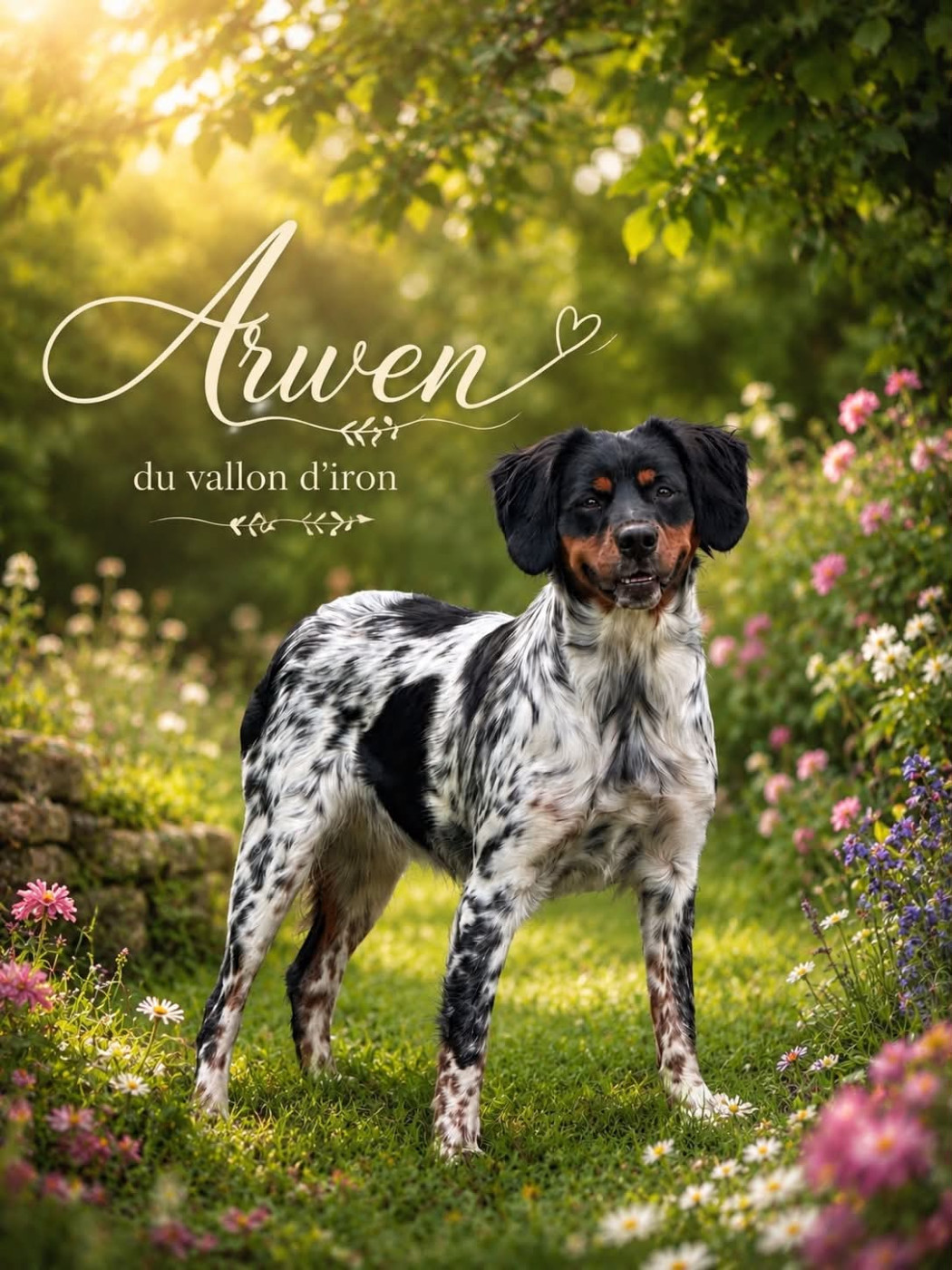 Arwen Du Vallon D'Iron