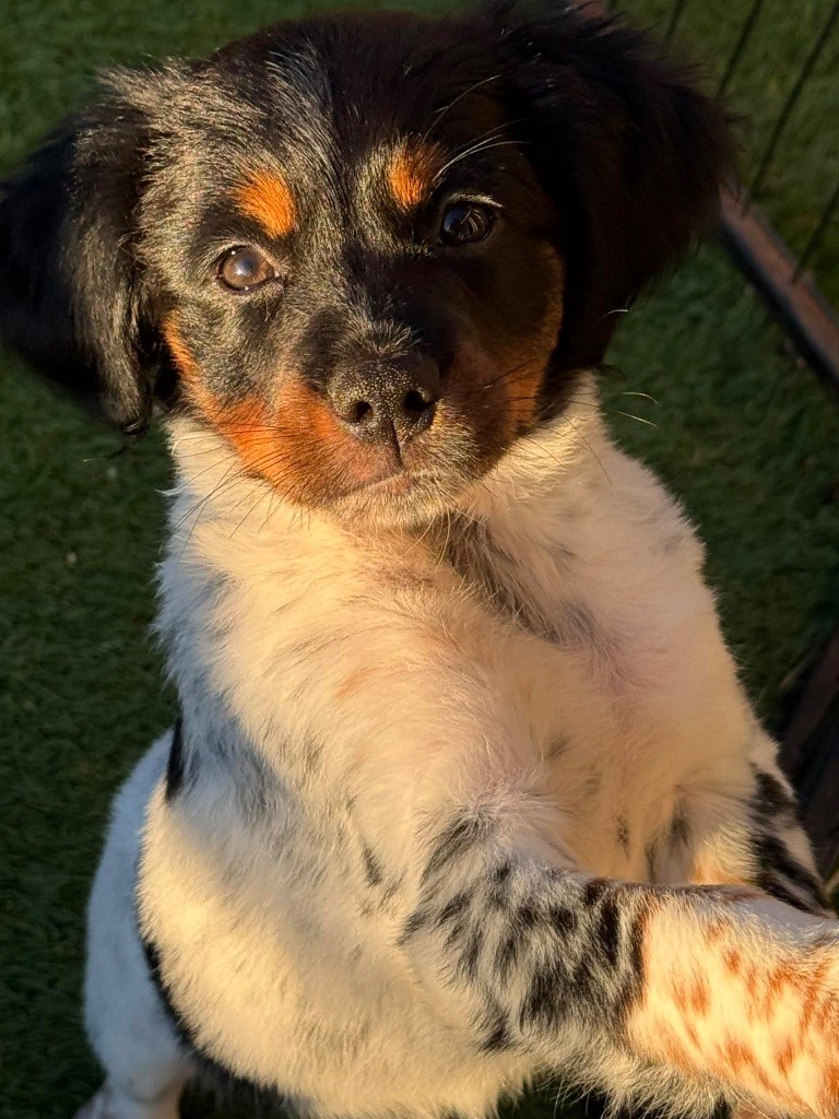 Arwen Du Vallon D'Iron