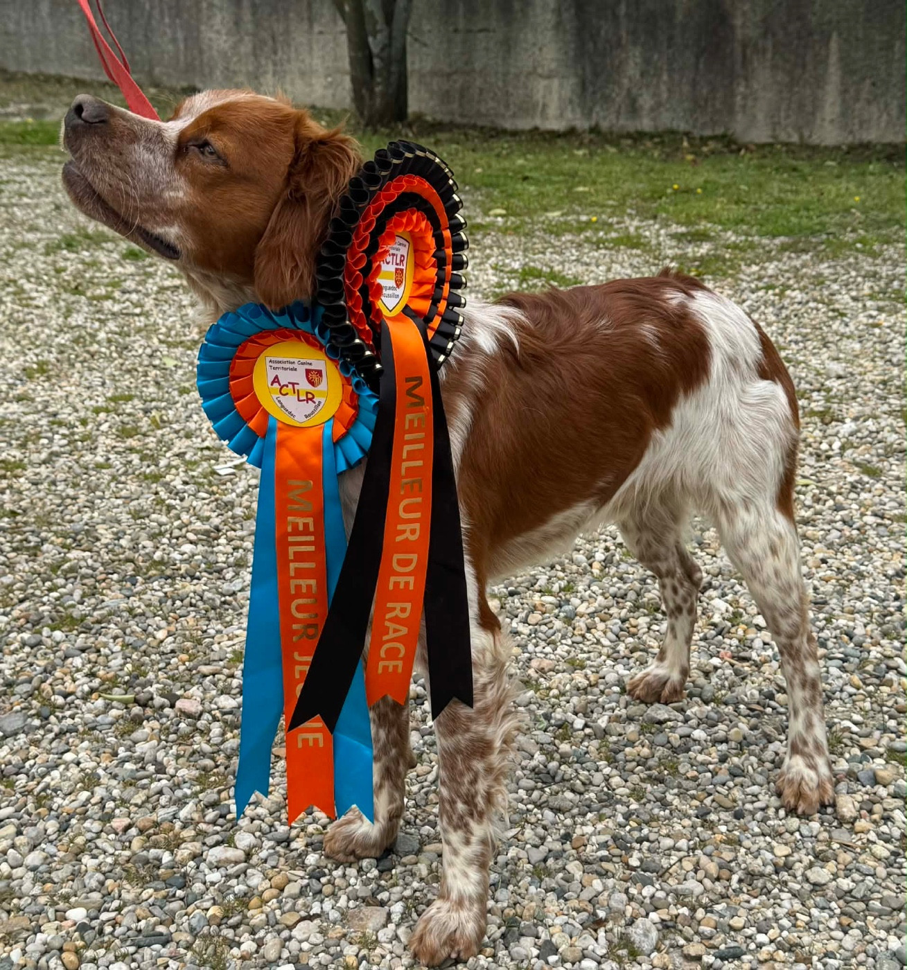 EXPOSITION ALÈS 2026