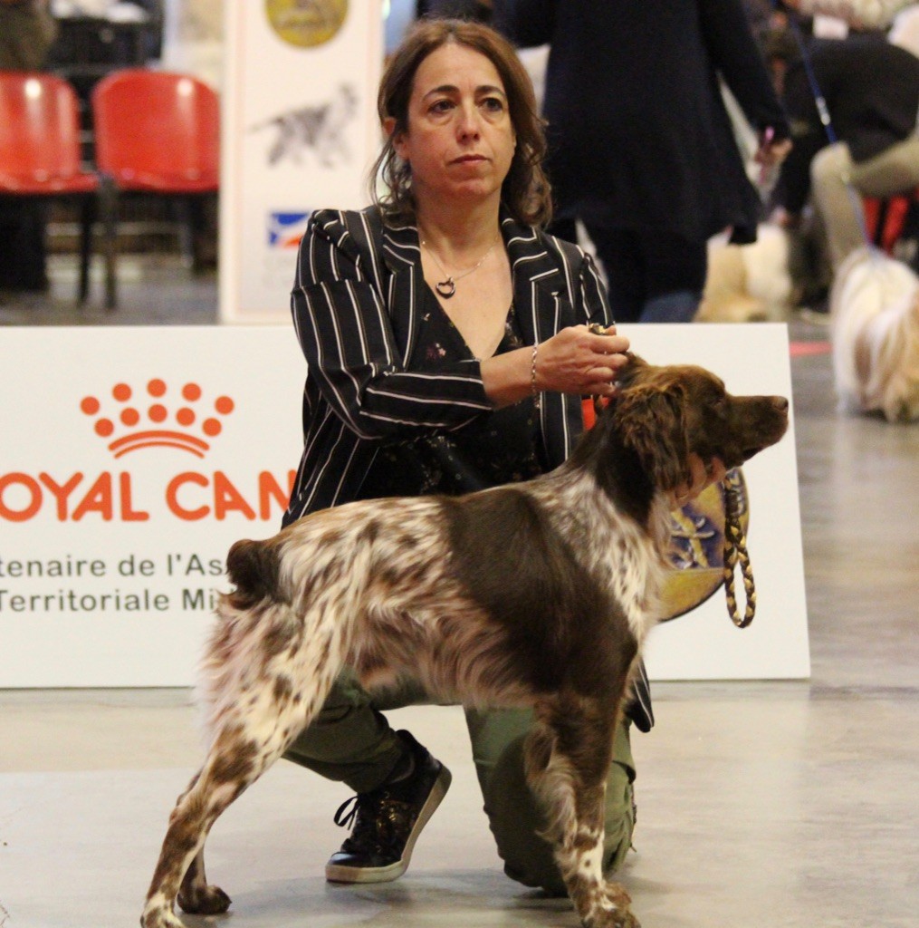 Du Vallon D'Iron - EXPOSITION INTERNATIONALE DE MARTIGUES