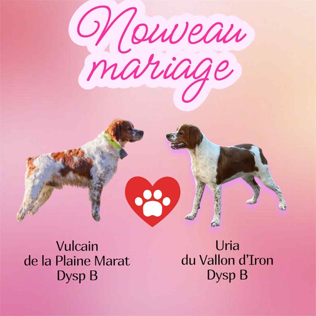 MARIAGE D'AUTOMNE !