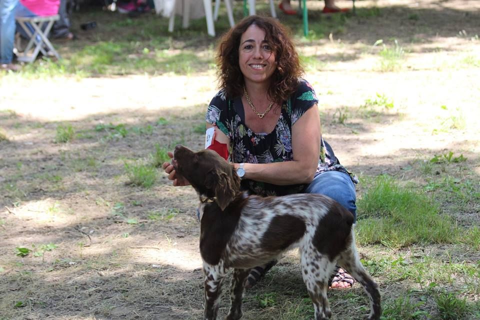 Du Vallon D'Iron - NASKO : MEILLEUR PUPPY !!!