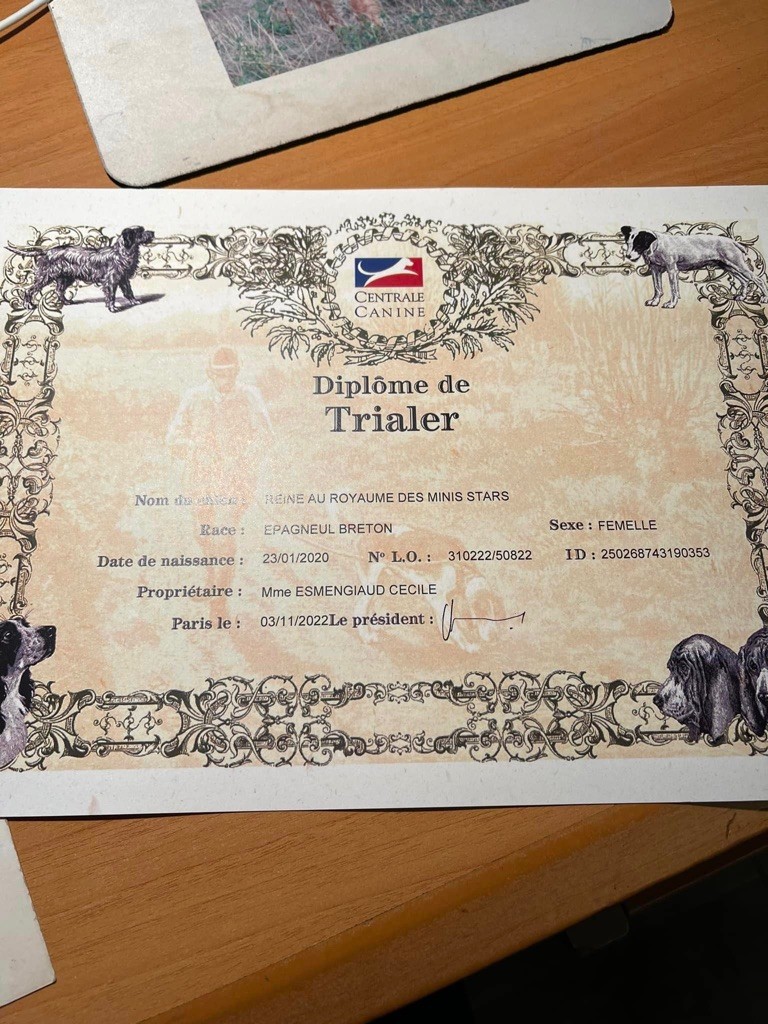 Du Vallon D'Iron - REINE TRIALER !