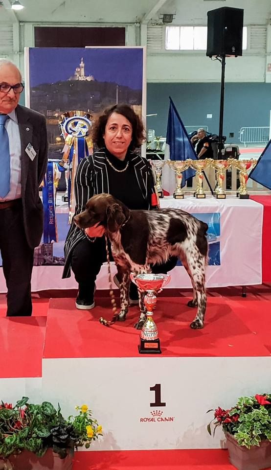Du Vallon D'Iron - EXPOSITION INTERNATIONALE DE MARSEILLE 25/11/2018