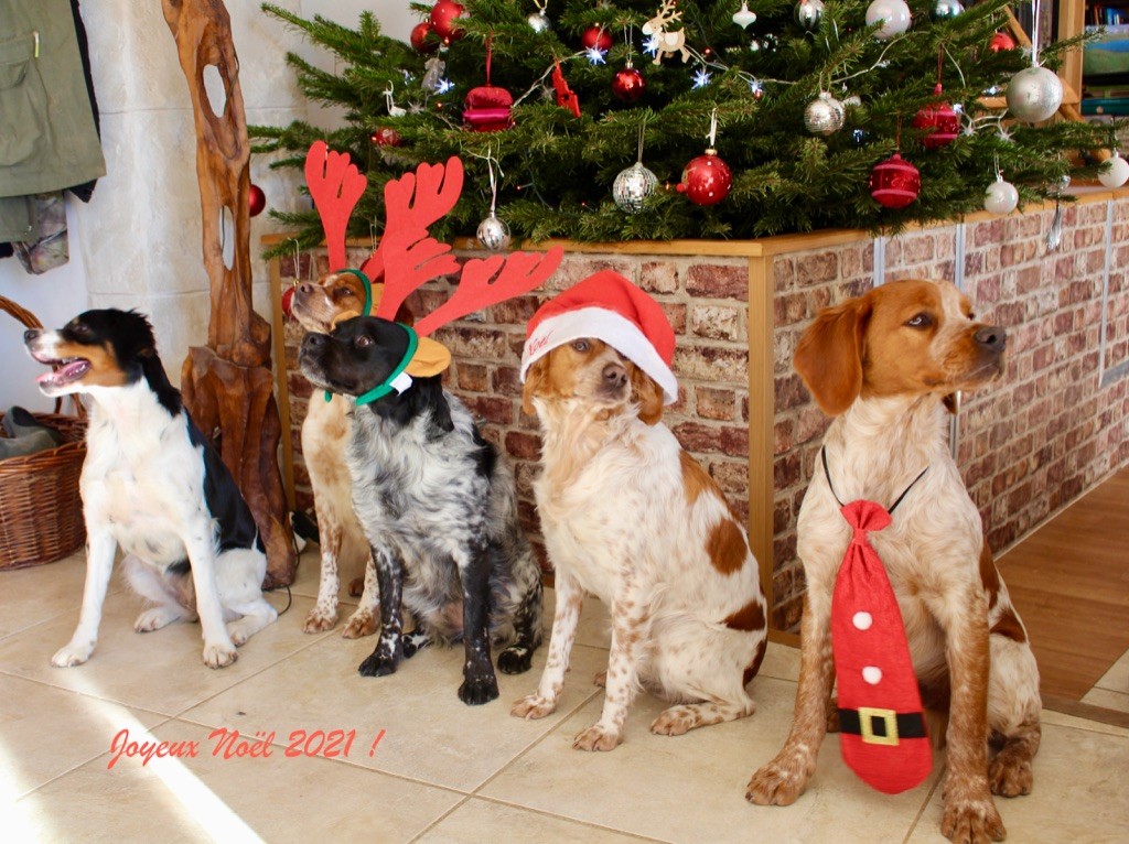 Du Vallon D'Iron - JOYEUX NOEL 2021