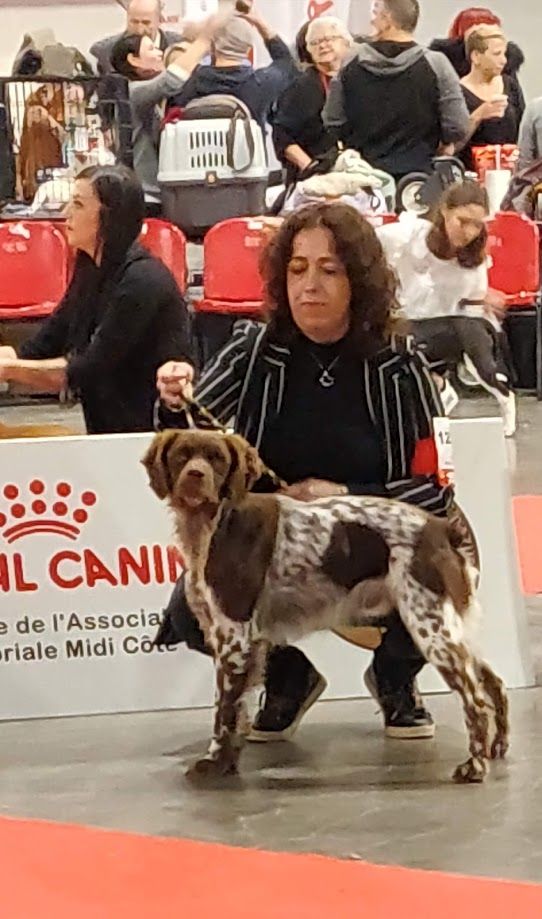 Du Vallon D'Iron - EXPOSITION INTERNATIONALE DE MARTIGUES 24/11/19